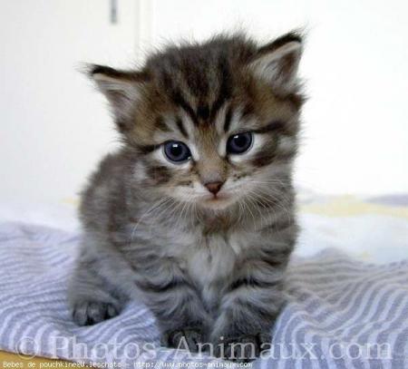 il est trop trop mignoooooooooooooooooooooon!!!