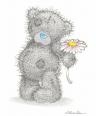 il est simpa ce petit nounours!