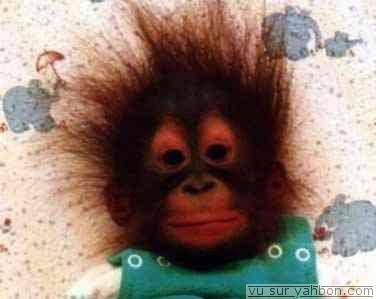 trop marant !!!